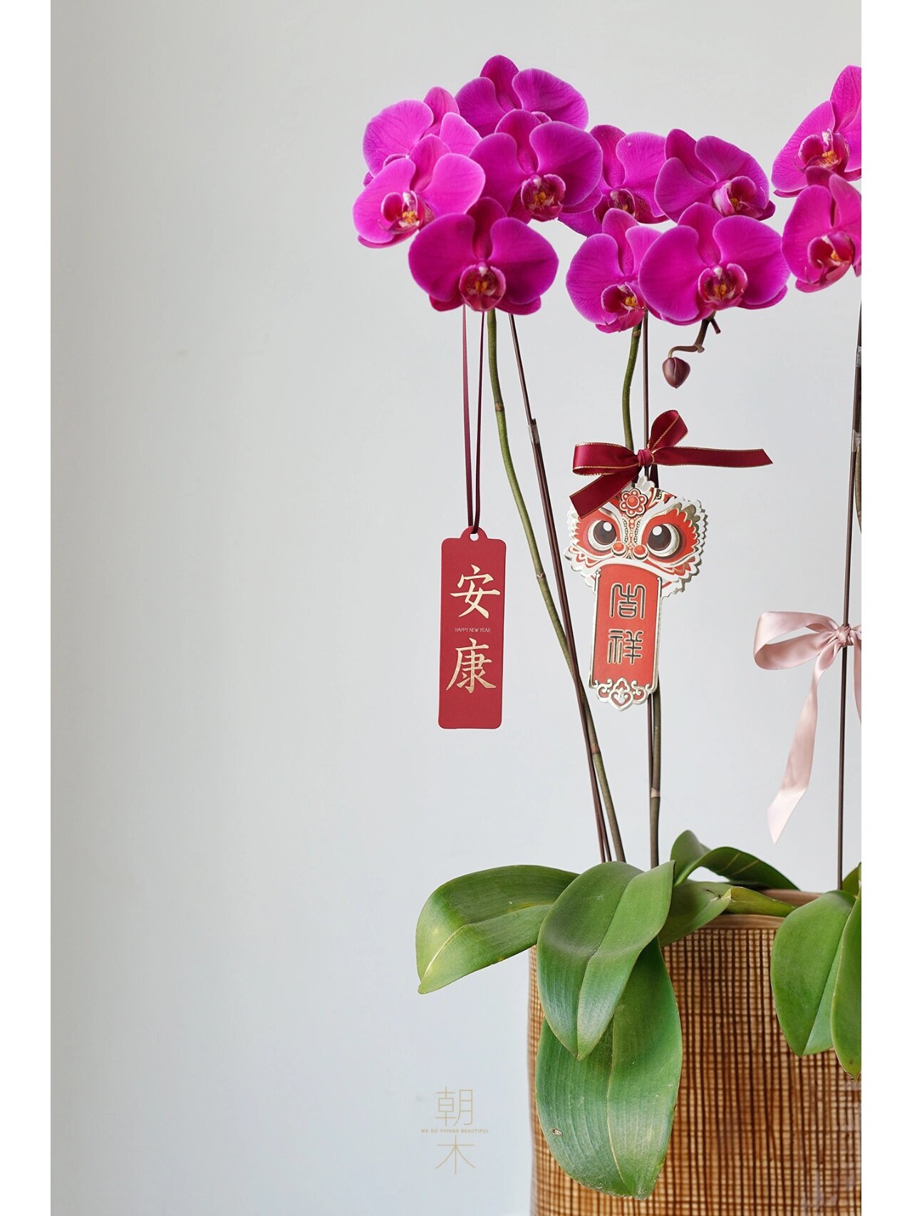 年宵花|蝴蝶兰 火凤凰 新年盆栽 𝟐𝟎𝟐𝟐年宵花【蝴蝶兰】售