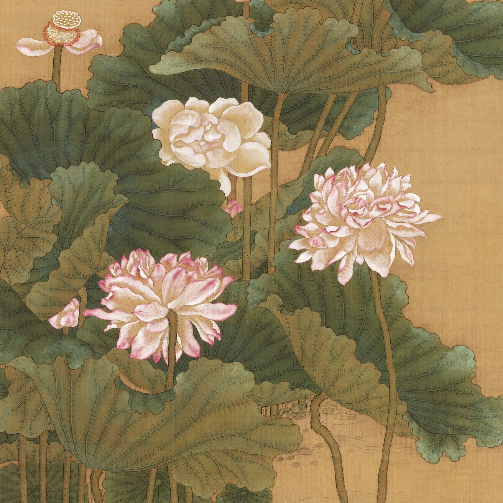 清 沈铨 荷花鸳鸯图 《荷花鸳鸯图》是清代画家沈铨创作的一幅绢本