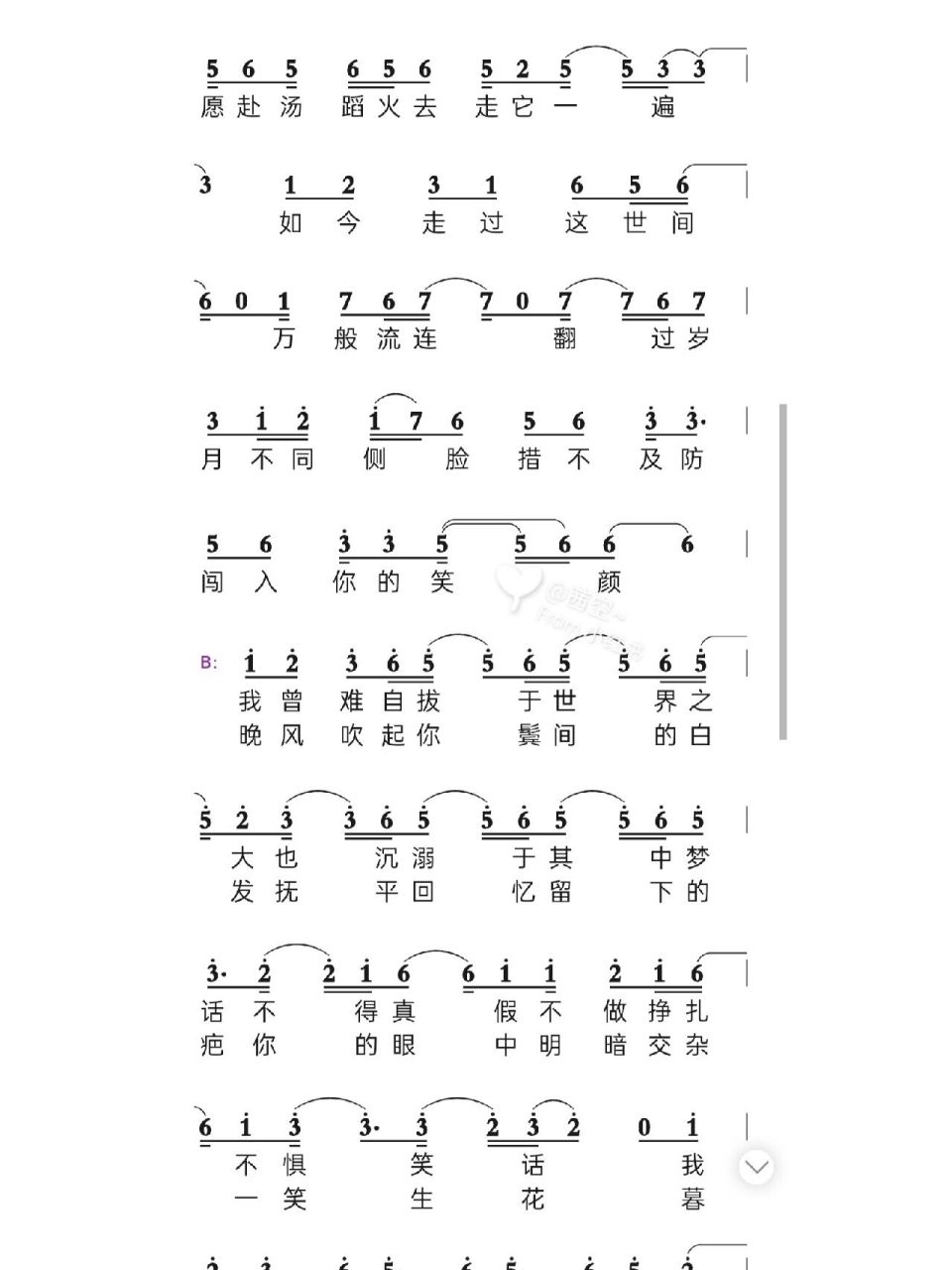 起风了笛子e调简谱图片