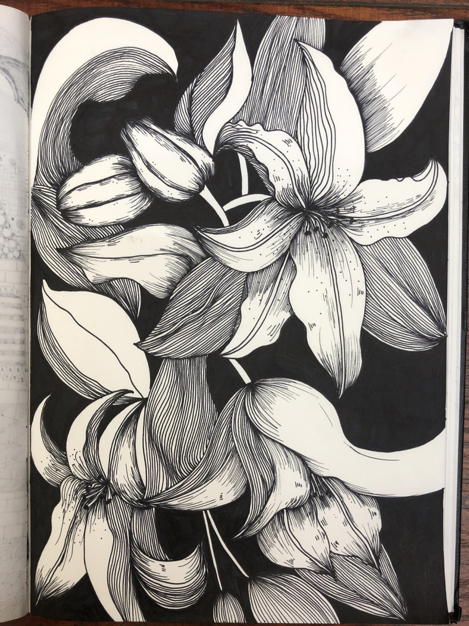线描画花朵简单黑白图片