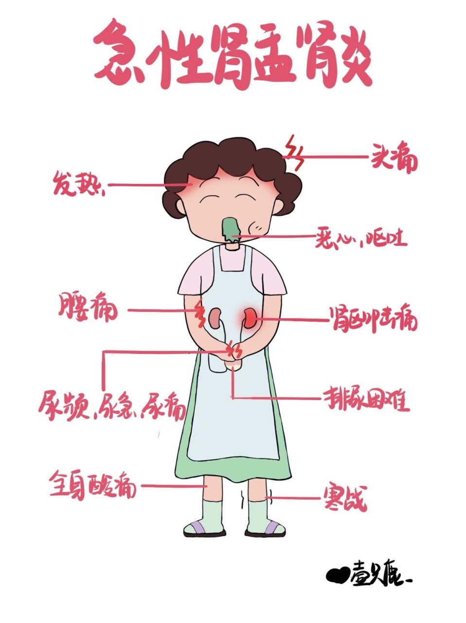 医学生笔记94|急性肾盂肾炎02 98急性肾盂肾炎是由于各种病原微