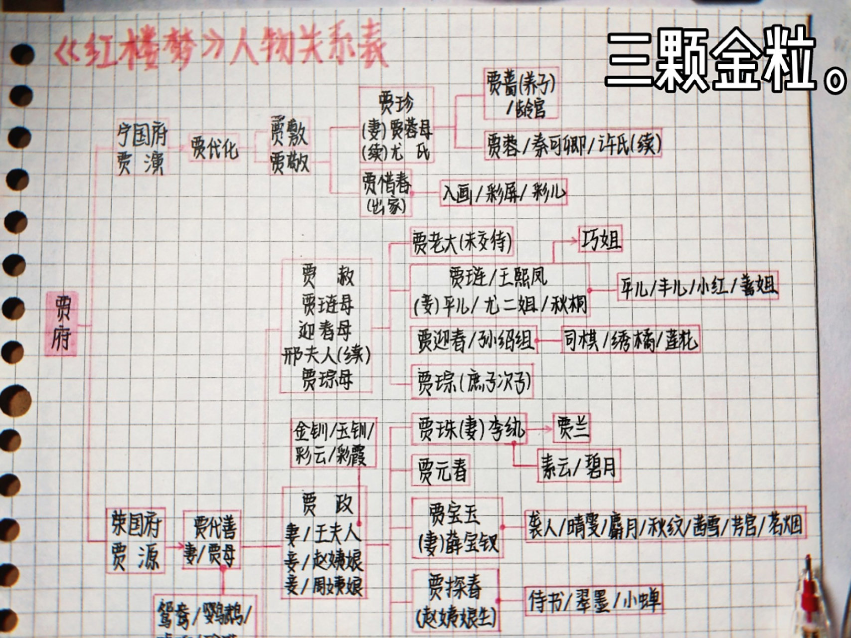 红楼梦人物关系图(表) 希望我希望的希望有希望.