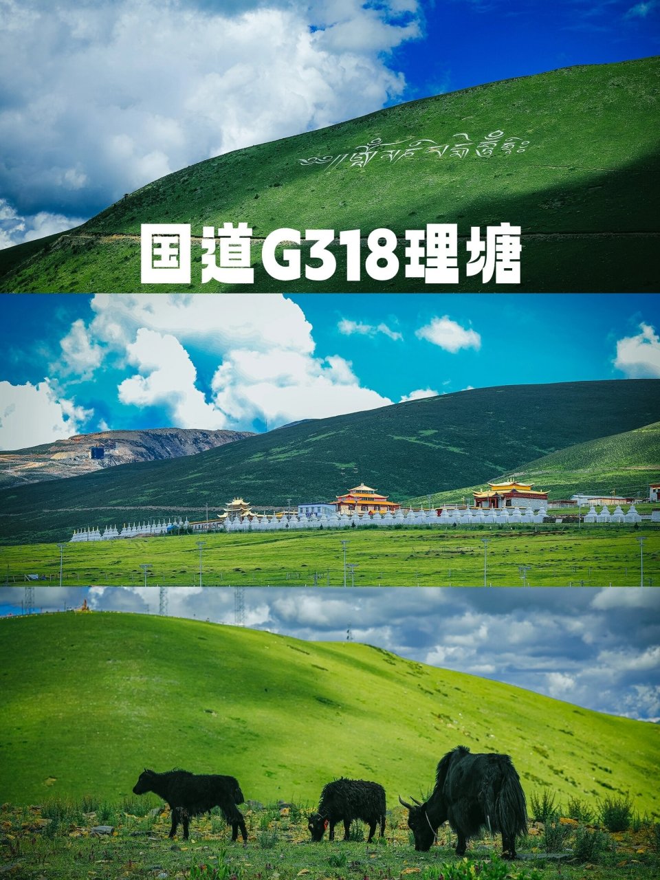 自驾g318国道|最美的风景在路上 自驾川藏线318国道,理塘段沿途都是