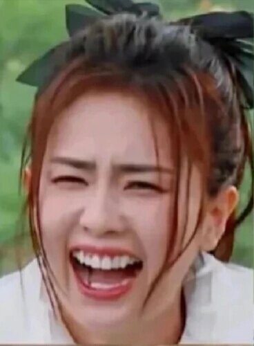 白鹿大笑表情包2