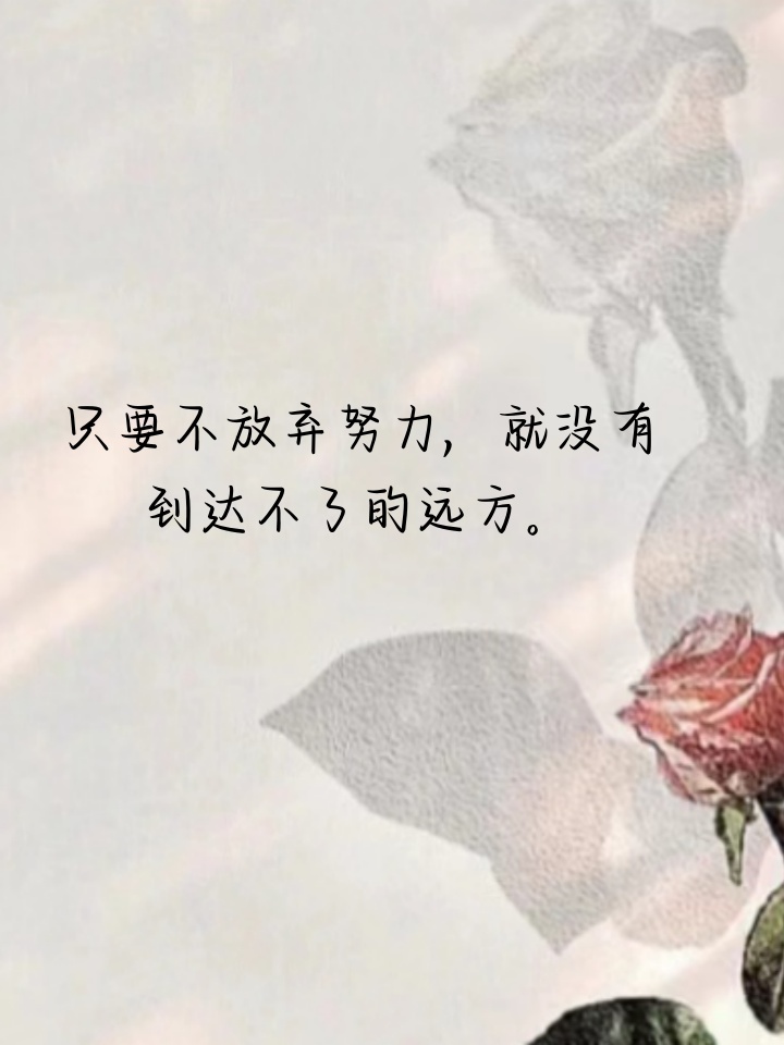 99只要不放弃努力,就没有到达不了的远方.
