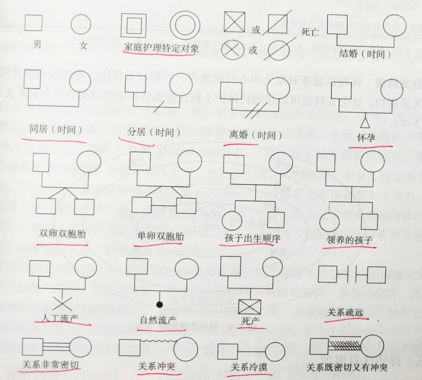 家庭遗传系谱图图片