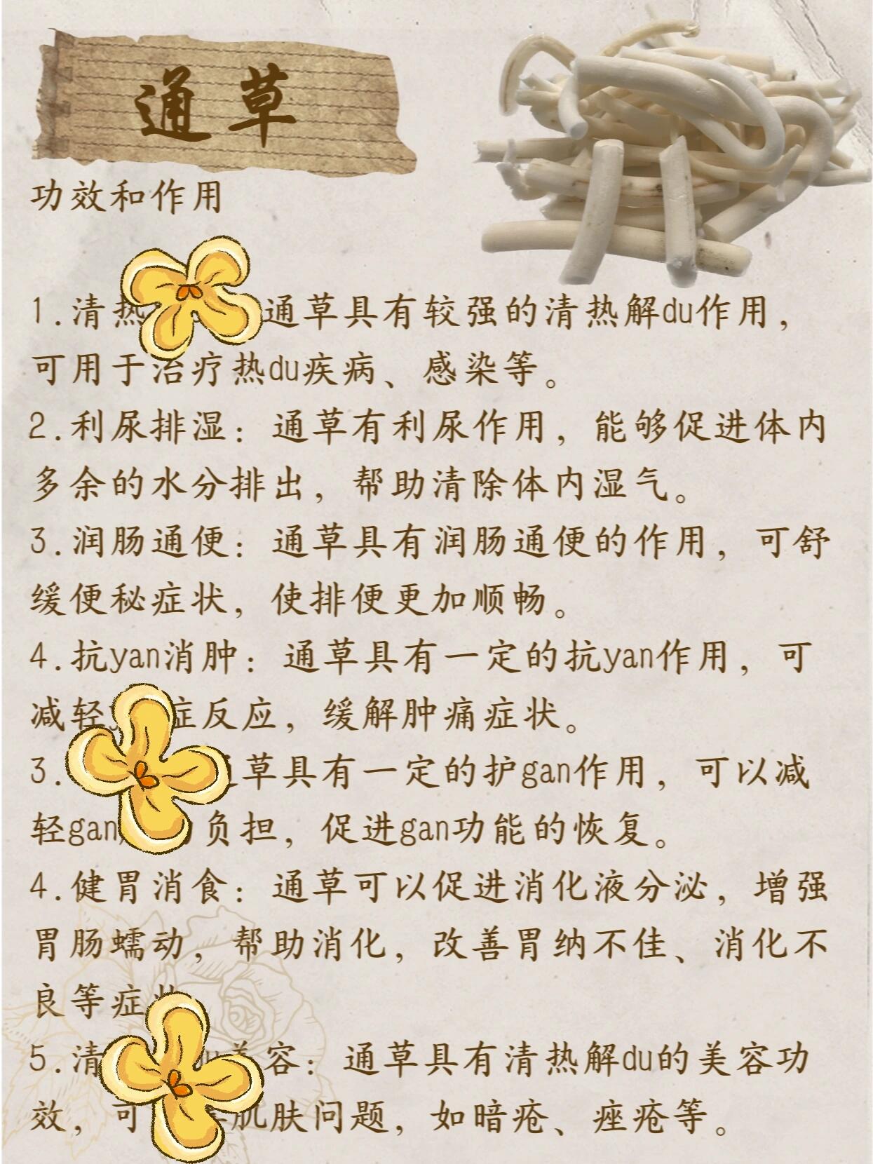 大通草的图片及作用图片