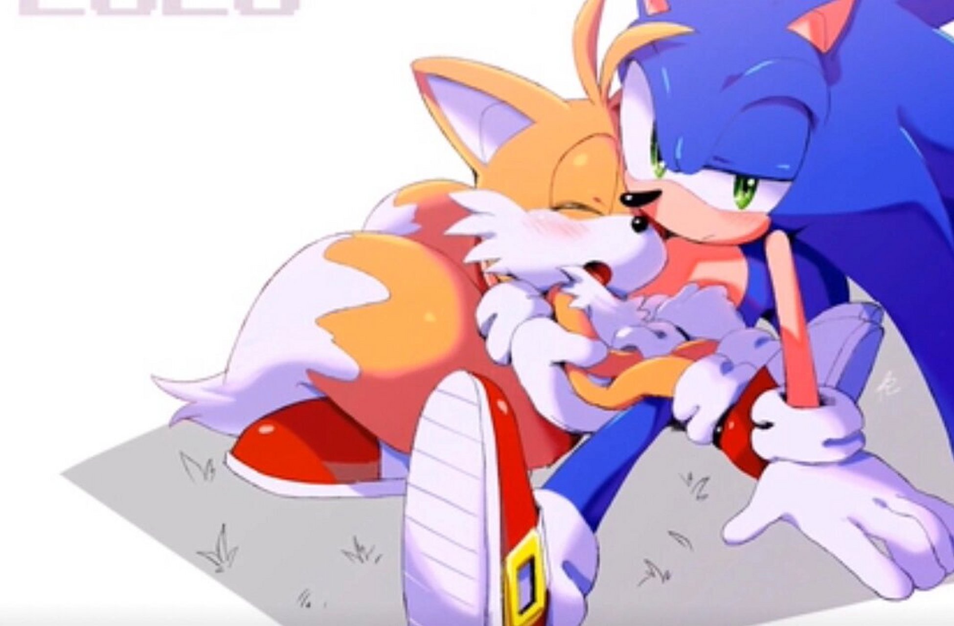 索尼克和塔尔斯