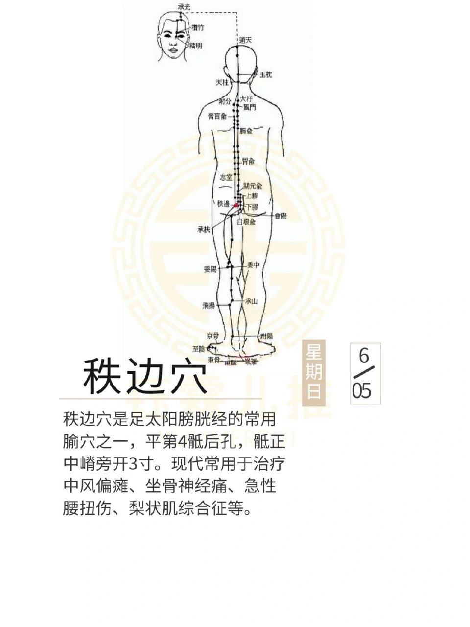 偏瘫针灸位置图片