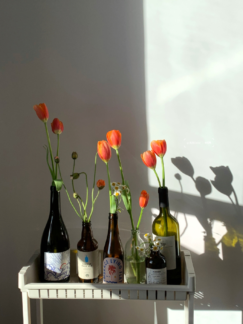 酒后艺术家94酒瓶插花 红酒瓶和橙色郁金香有点搭～ 再加点洋甘菊和