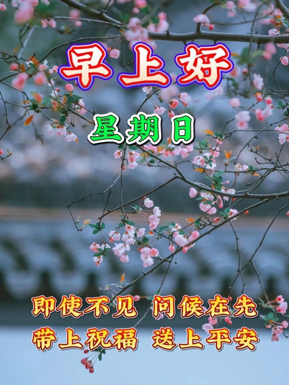 周日早上好,温馨暖心早安祝福图片语问候语 周末到了,祝你轻松,如意