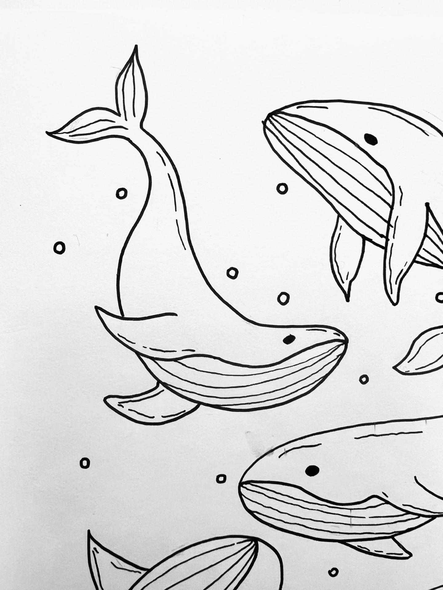 5|100挑战100张简笔画素材 深海里的蓝鲸篇