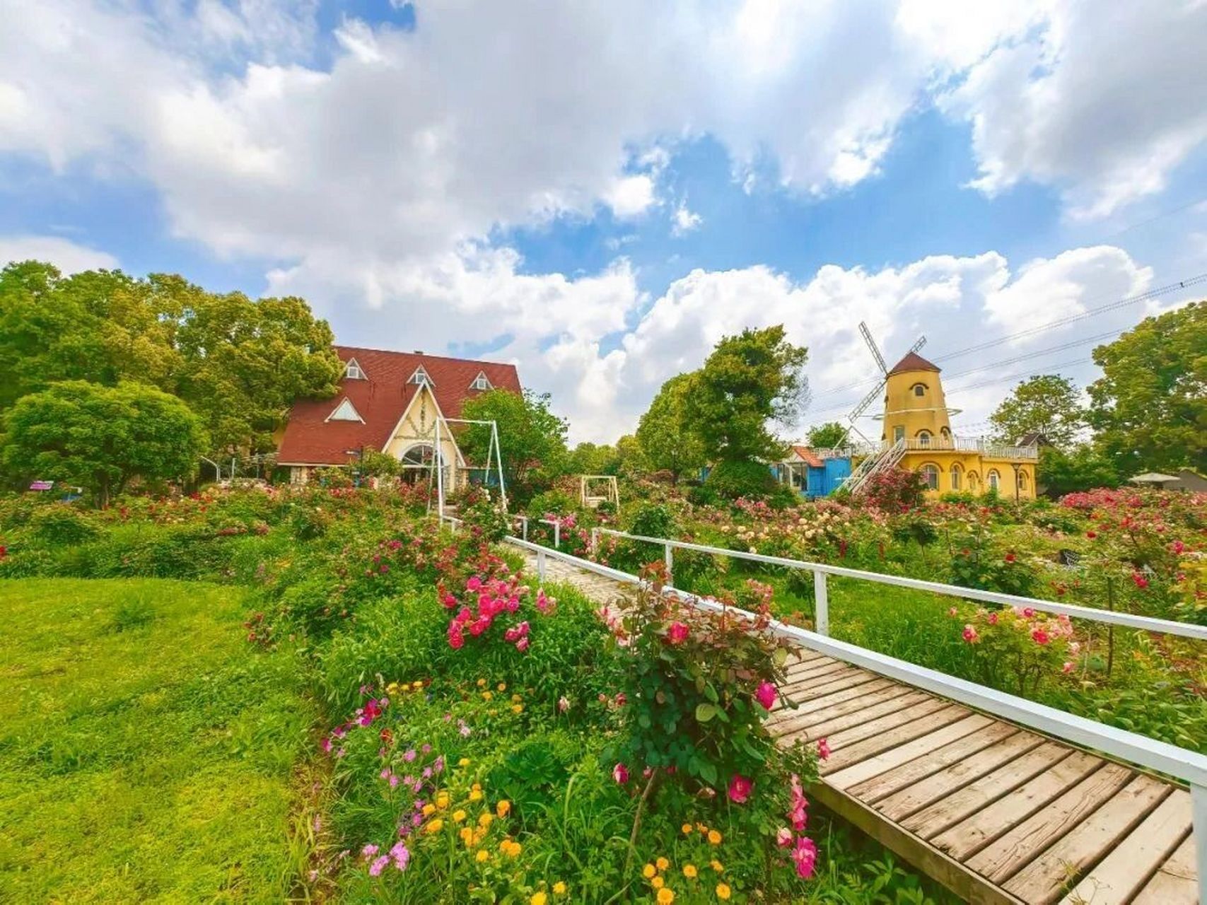 最全的武汉蔡甸采摘园集合 71景秀大地生态园:西瓜(即日起到10月)