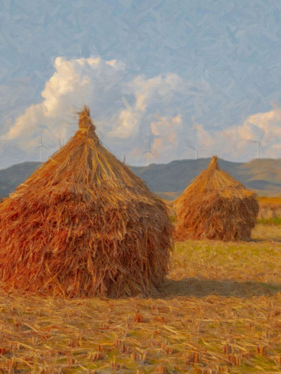 看完莫奈的作品,《干草垛》系列的配色深得我心,于是也想拍点同款图片