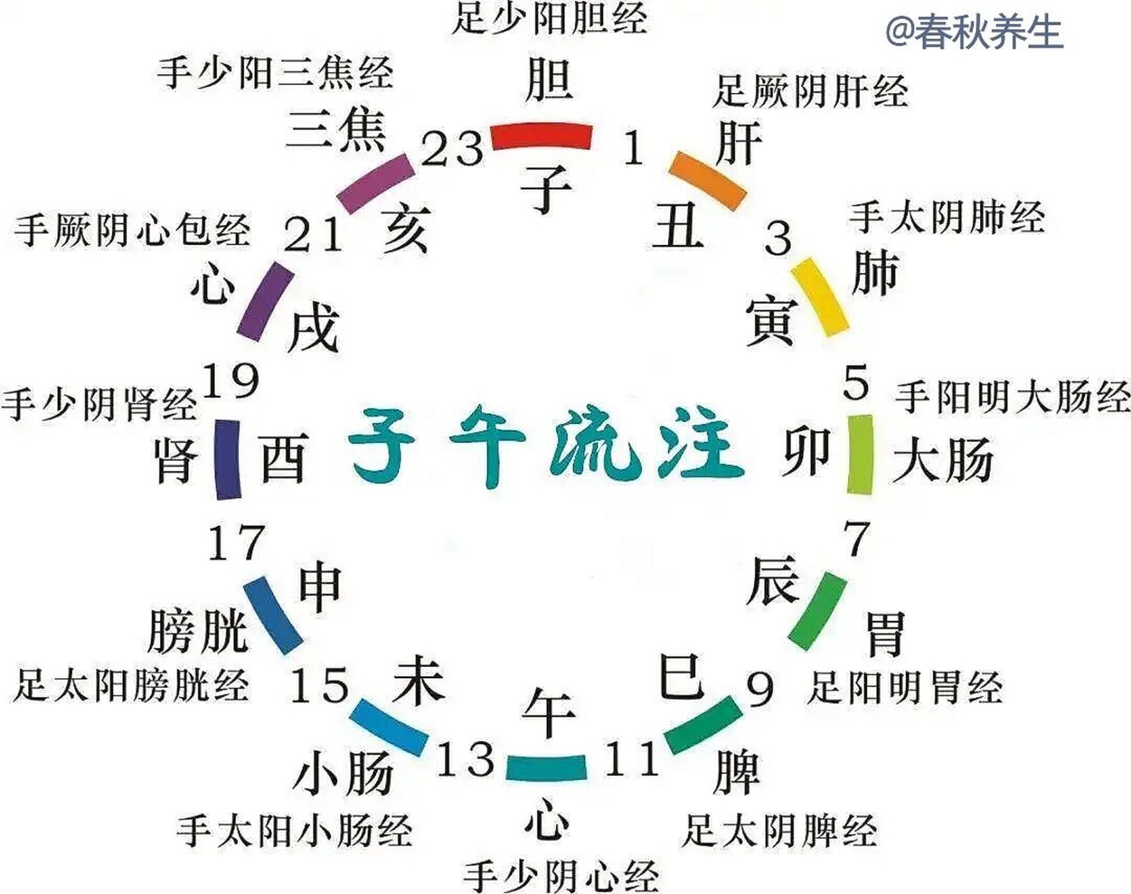 教大家口诀记忆十二经络 肺大 胃脾 心小肠; 膀肾 包焦 胆肝详.