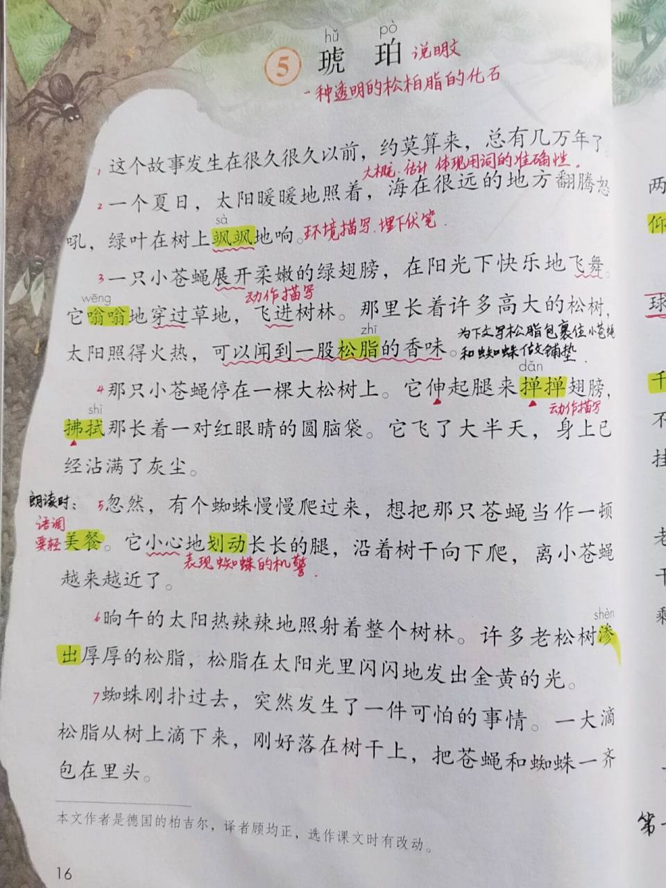 课堂笔记|四下《琥珀》 课堂笔记|部编版人教版统编版四年级语文下册