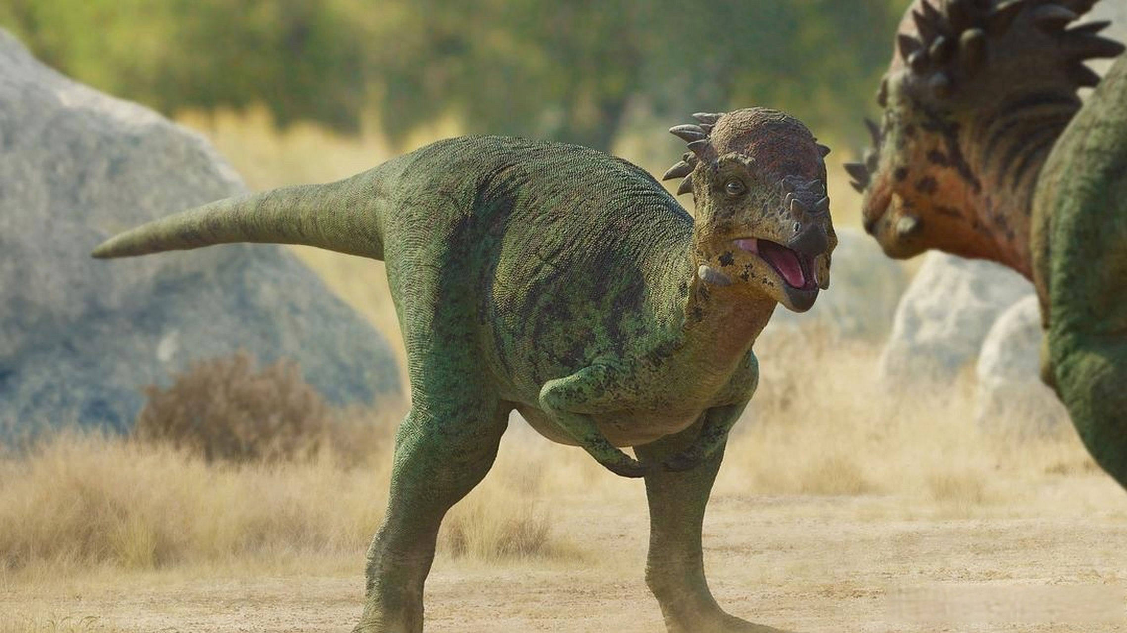 5,来看看可爱的大恐龙们吧!