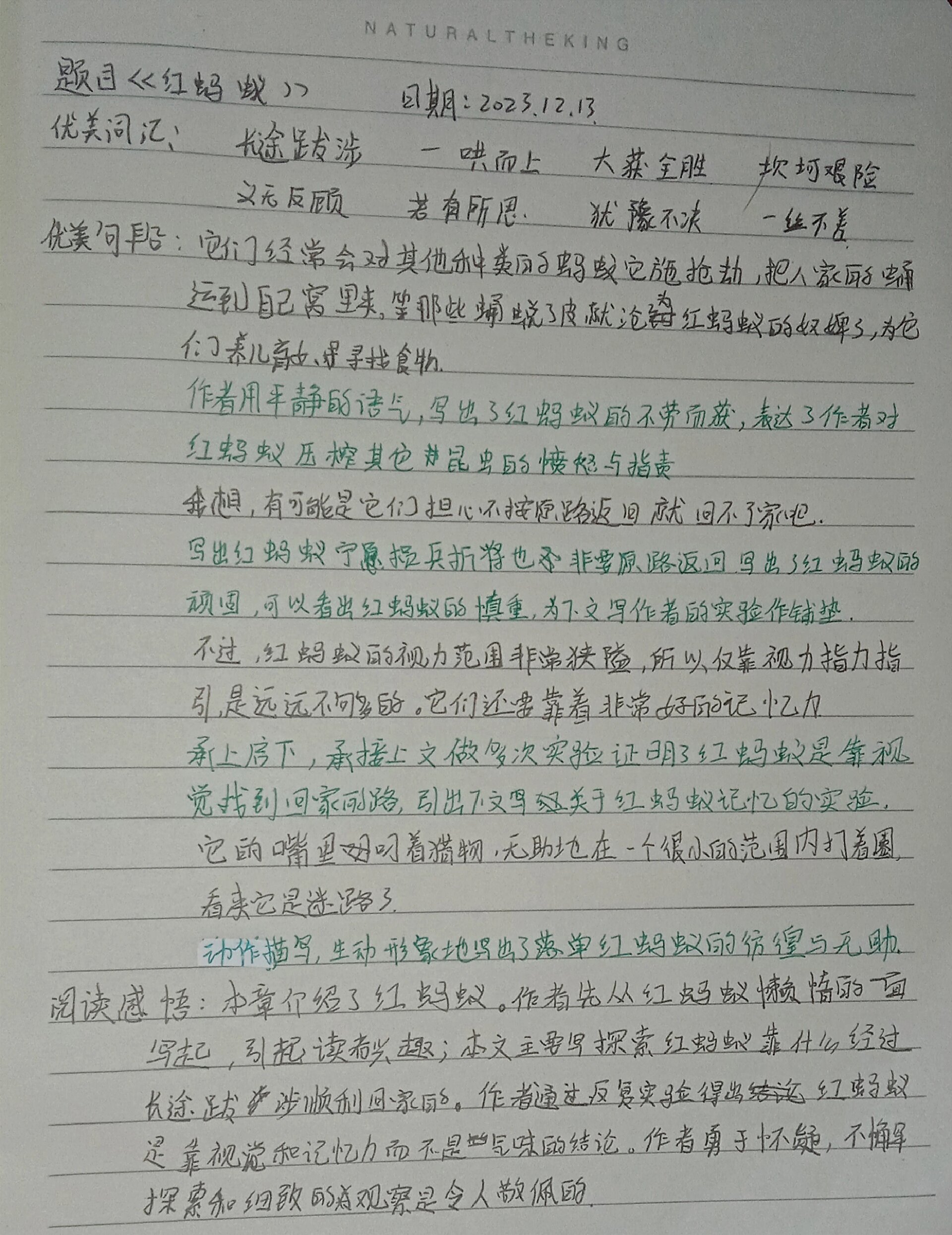 红蚂蚁备忘录图片