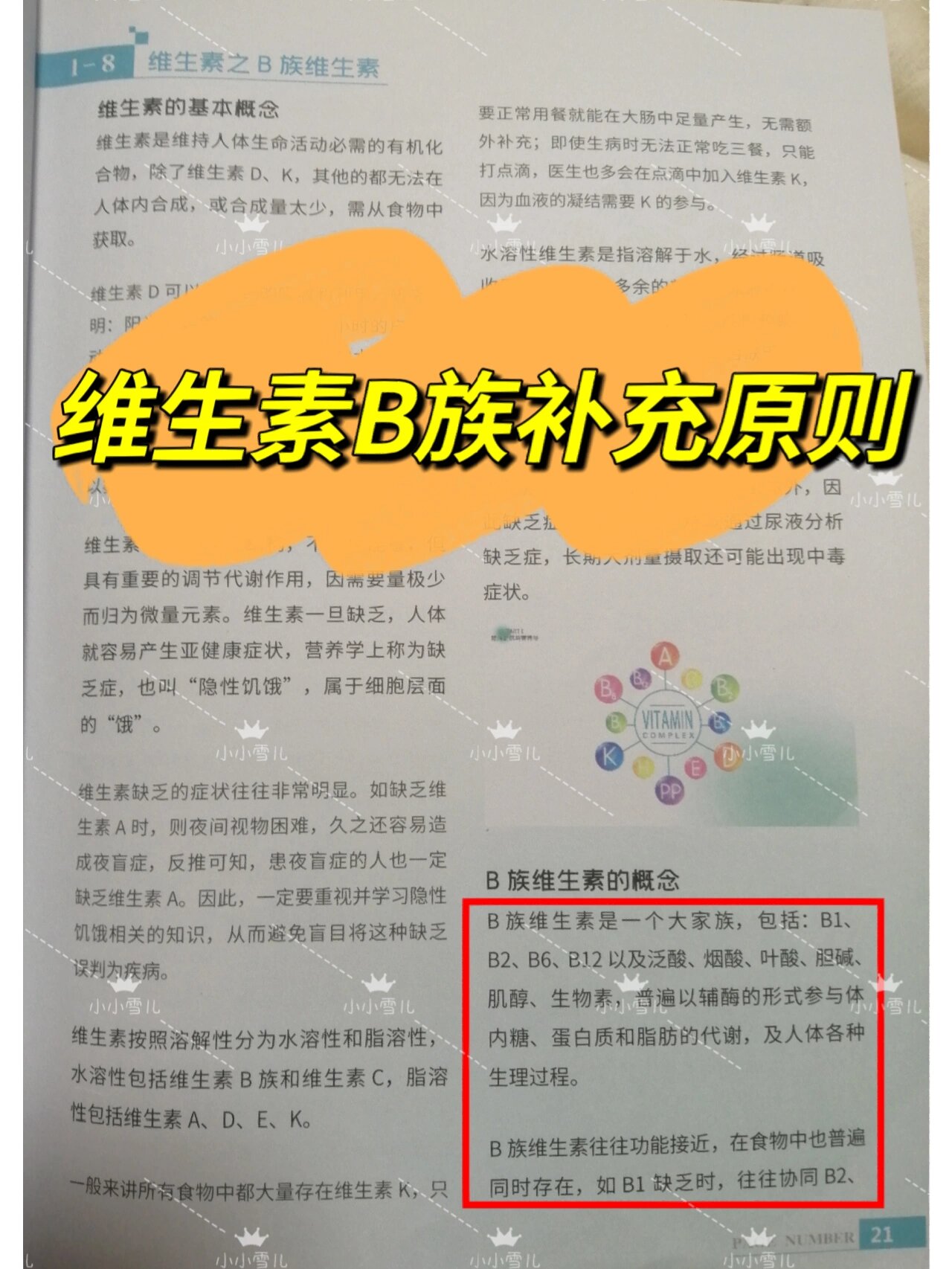 维生素b对男性功能的提升作用为什么在线