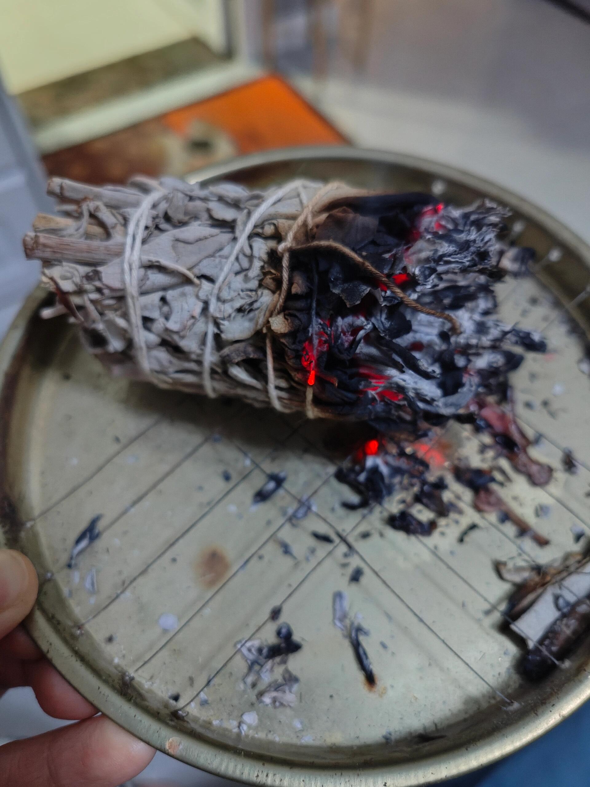 鼠尾草的净化功能真的有用 之前搬新家,在网上查说买一捆鼠尾草91来