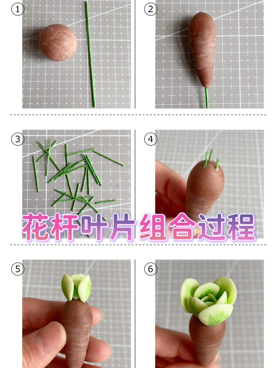 粘土多肉|超详细的玉蝶锦教程,惊艳到了