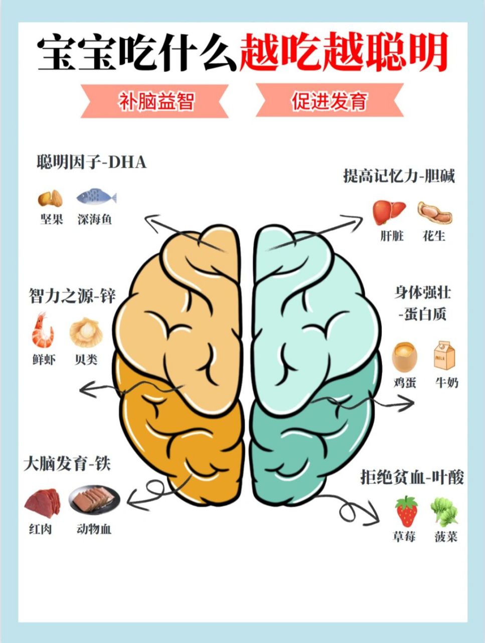 78聪明因子-dha 【作用】 dha是聪明元素,它是大脑组成相当重要的