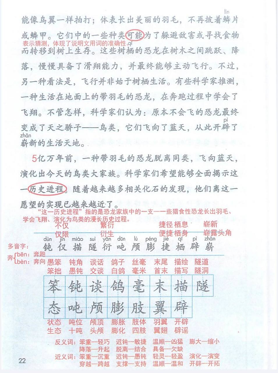 四年级语文下册 第6课 《飞向蓝天的恐龙》 部编四年级语文下册 飞向