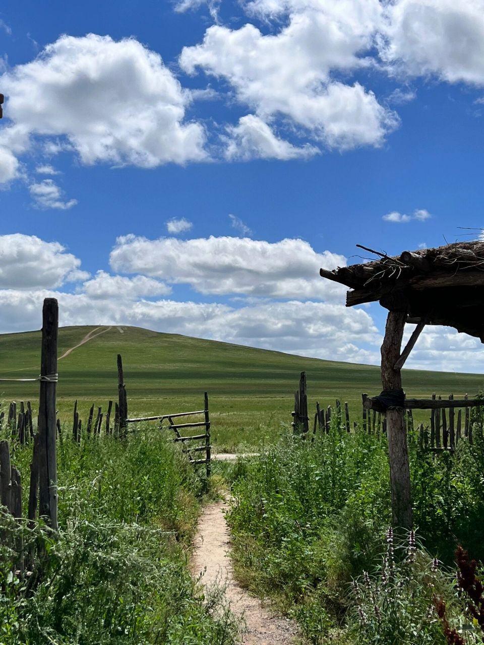 霍林郭勒-乌拉盖 旅游季:端午到立秋 08霍林郭勒市 没有高铁和动车
