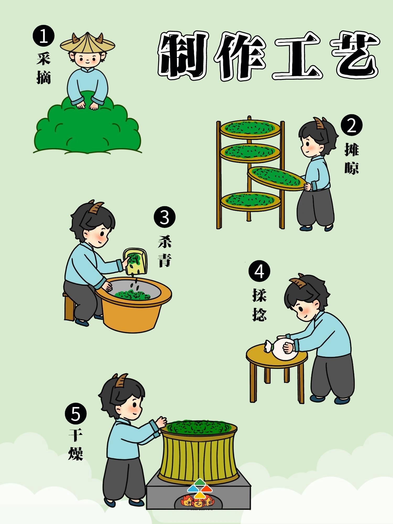 绿茶小知识