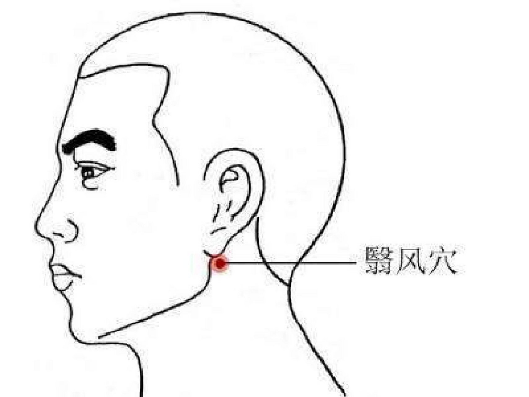 保健按摩之耳后的"宝藏窝"—耳窝 耳窝指的是耳垂后面的小窝,用食指往