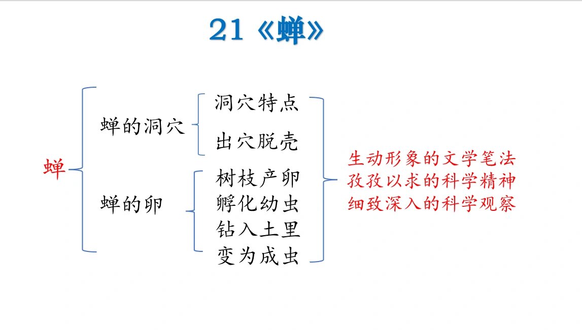 初二课文蝉的思维导图图片