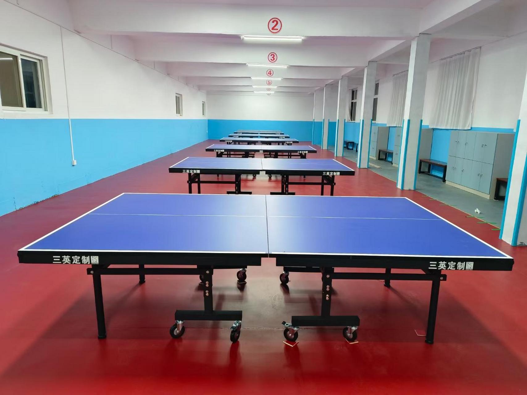 乒乓球场专用地胶.山东乒乓球俱乐部,乒乓球场地胶采用4.
