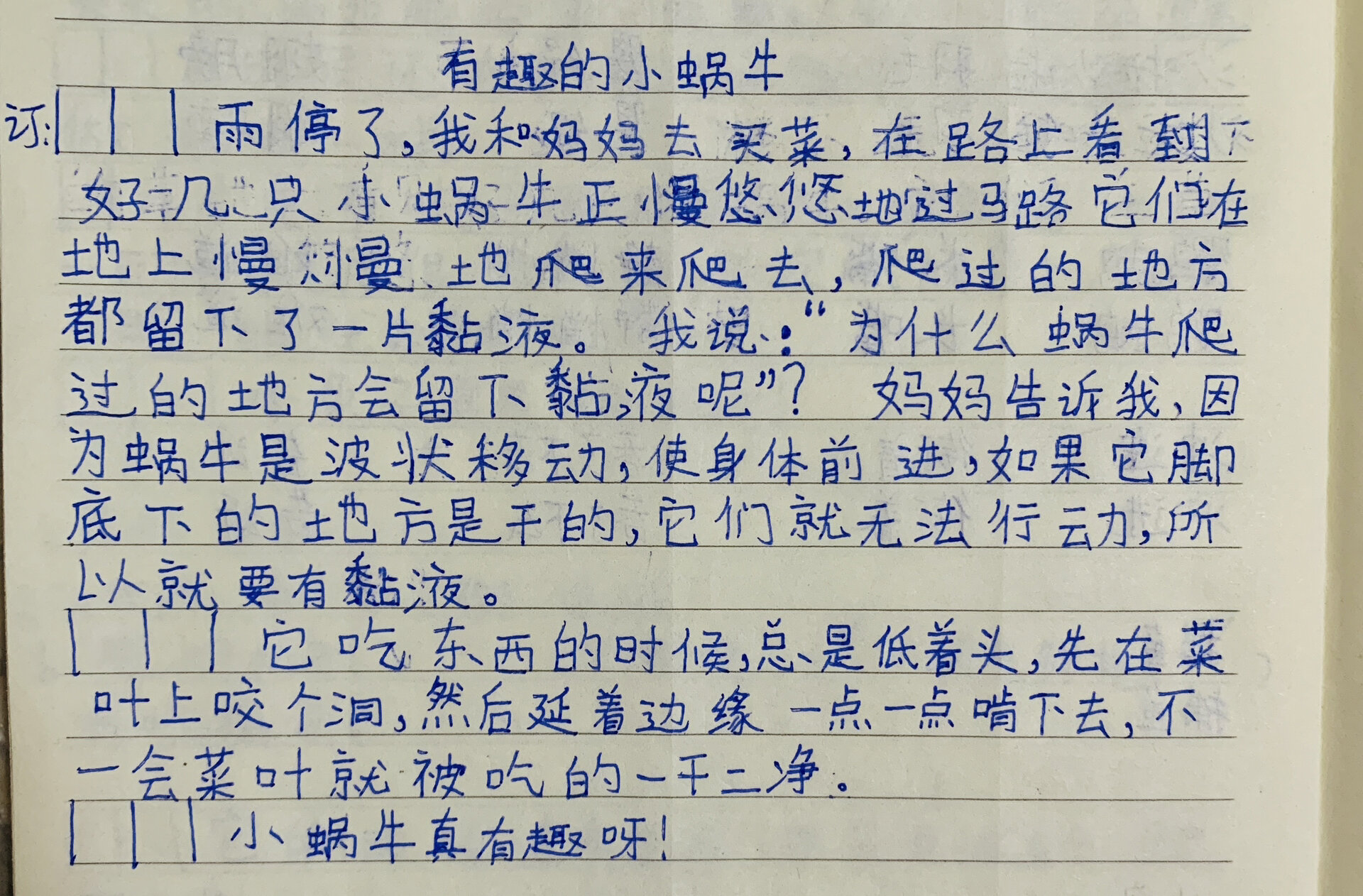 有趣的小蜗牛 观察习作