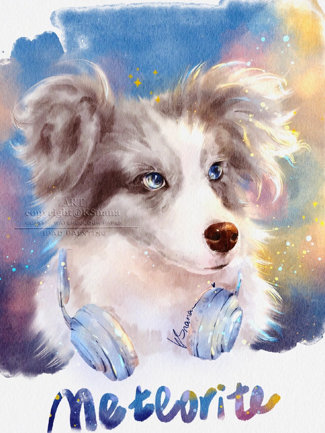 宠物手绘|陨石边牧🎧|优雅的少年procreate