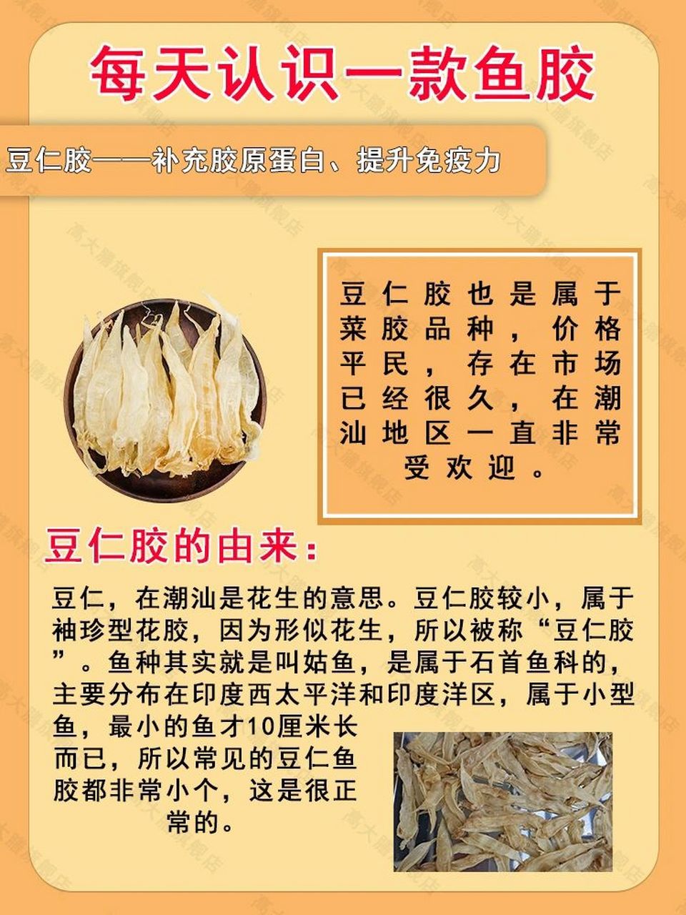 科普】每天认识一款鱼胶——豆仁胶 豆仁胶也是属于菜胶品种,价格平民