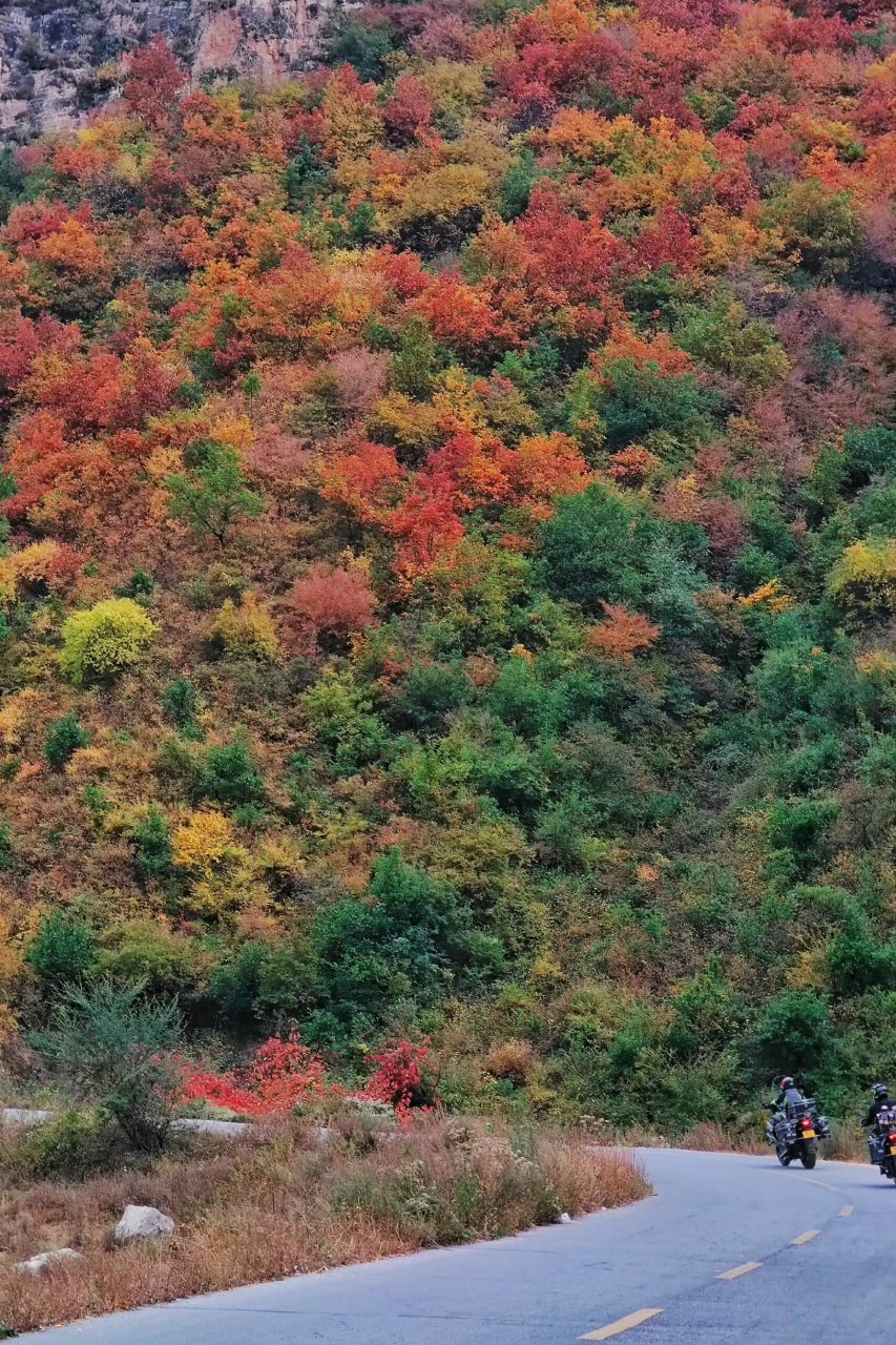 秋染飞狐陉 | 河北蔚县 飞狐陉,又名飞狐峪,飞狐口,古"太行八陉"之一.