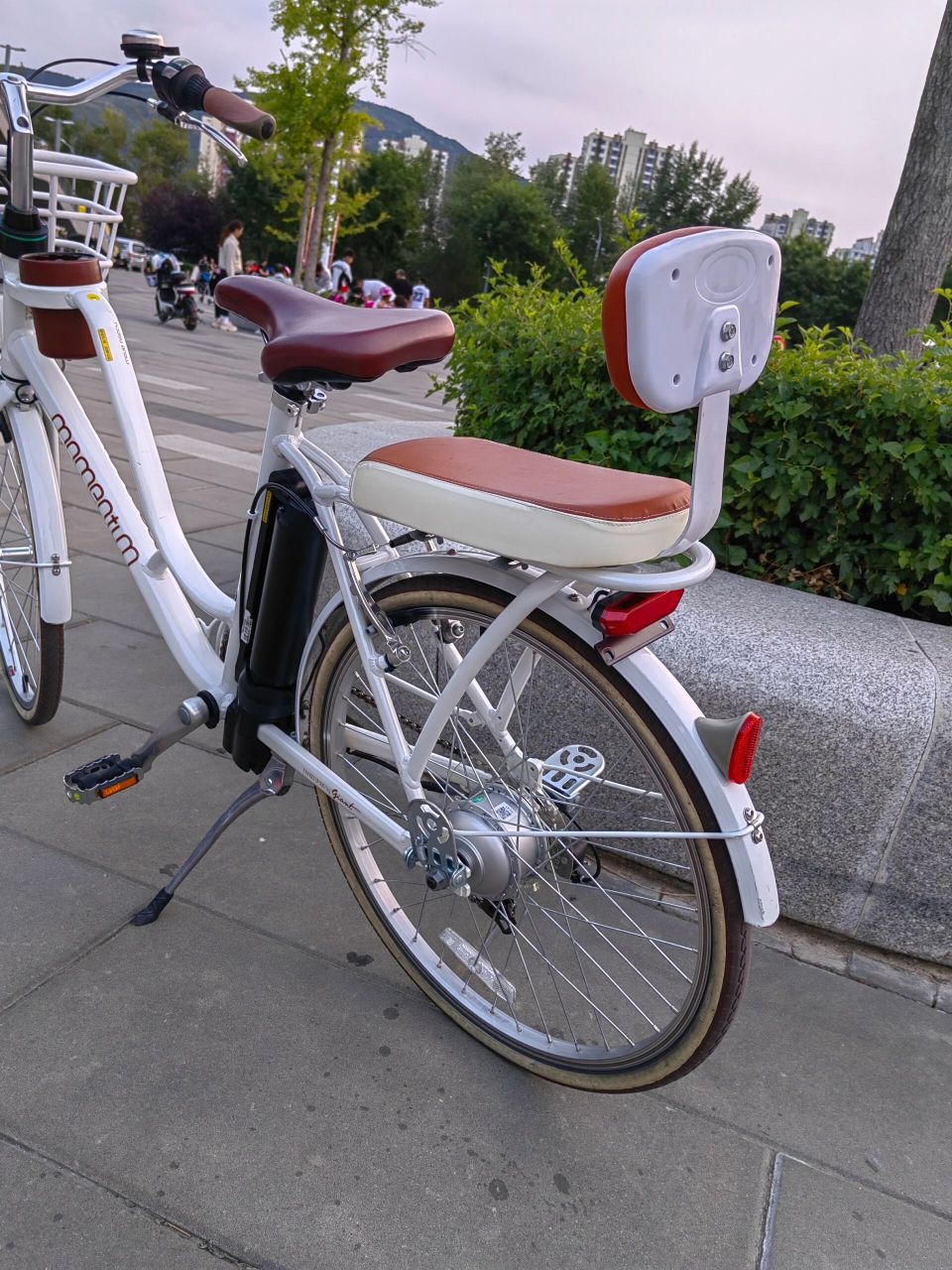 捷安特momentum莫曼顿拿铁 ego.一级棒!