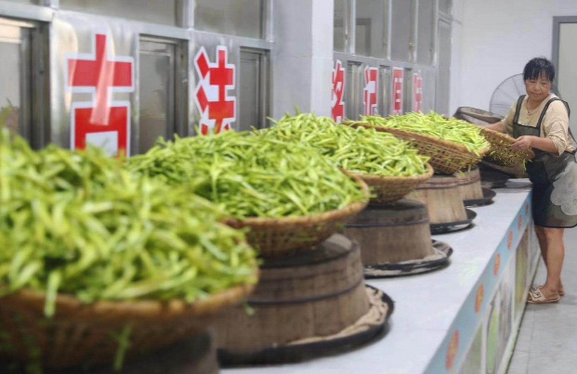 【#祁东黄花菜首次挺进欧洲市场#】湖南农产品,"湘"飘海内外.