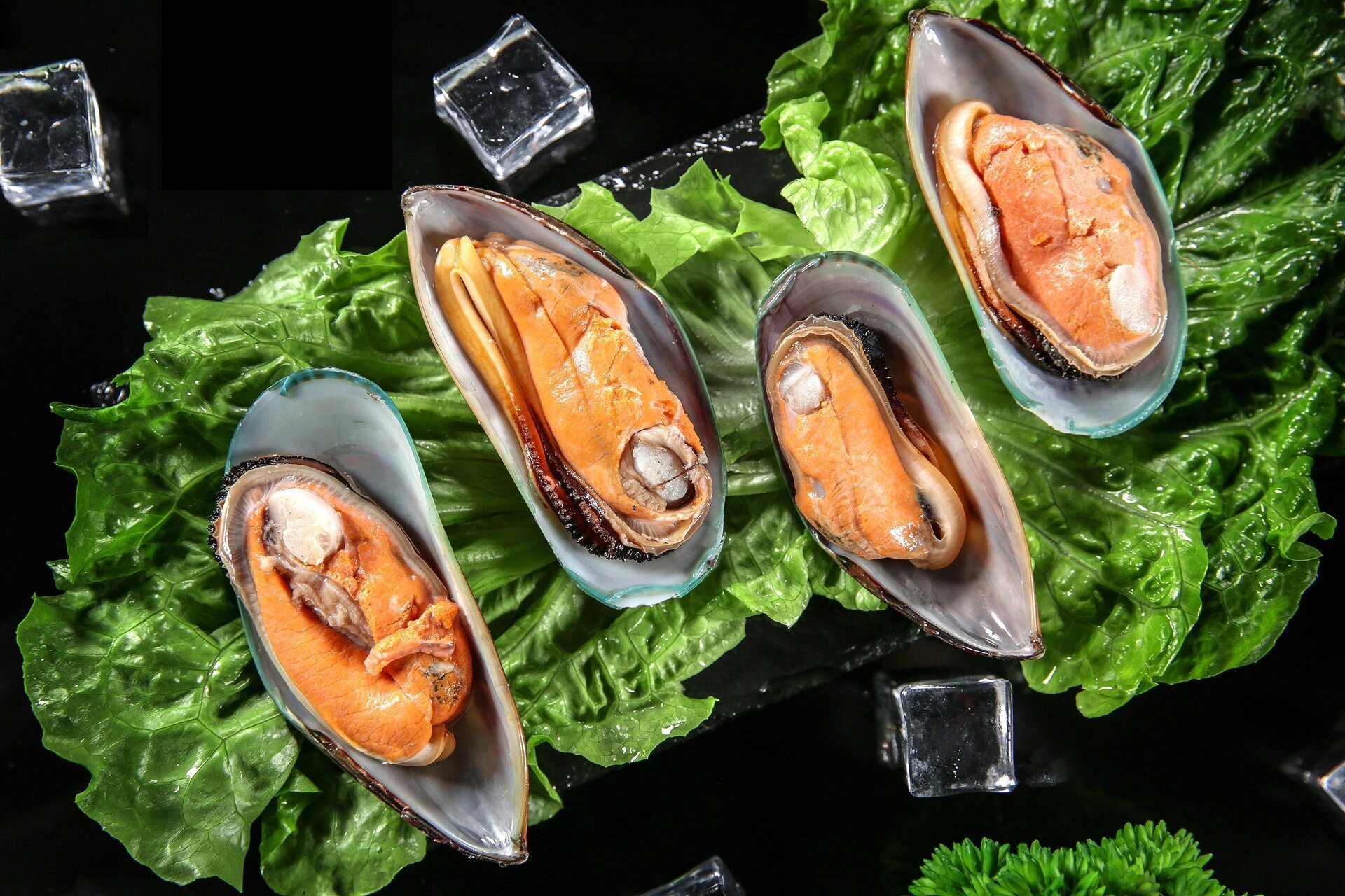 青口贝,北方叫海虹,南方人叫青口,淡菜,亦称"东海夫人",学名叫贻贝,为