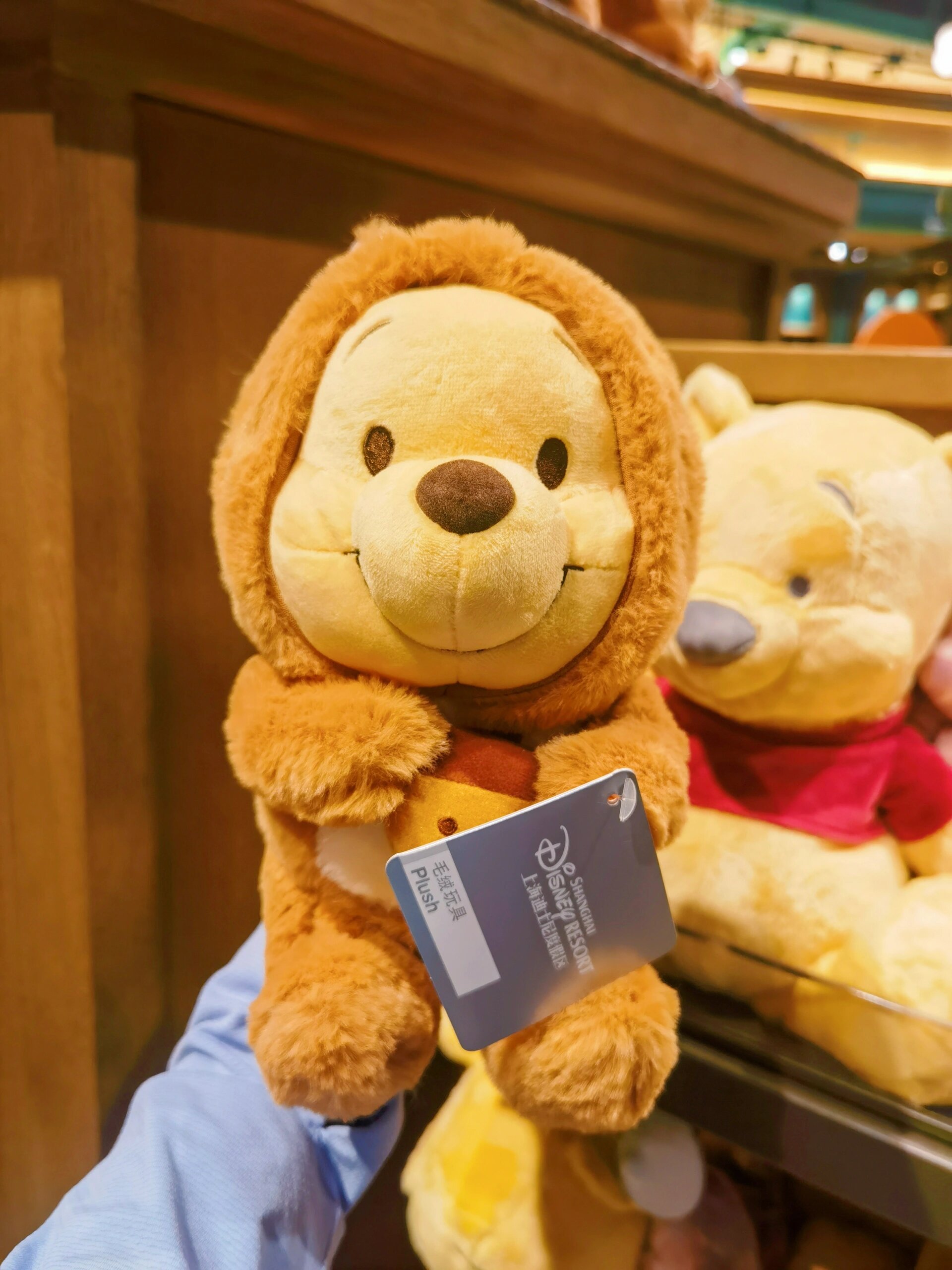 上海迪士尼购物指南|如何存取物品73