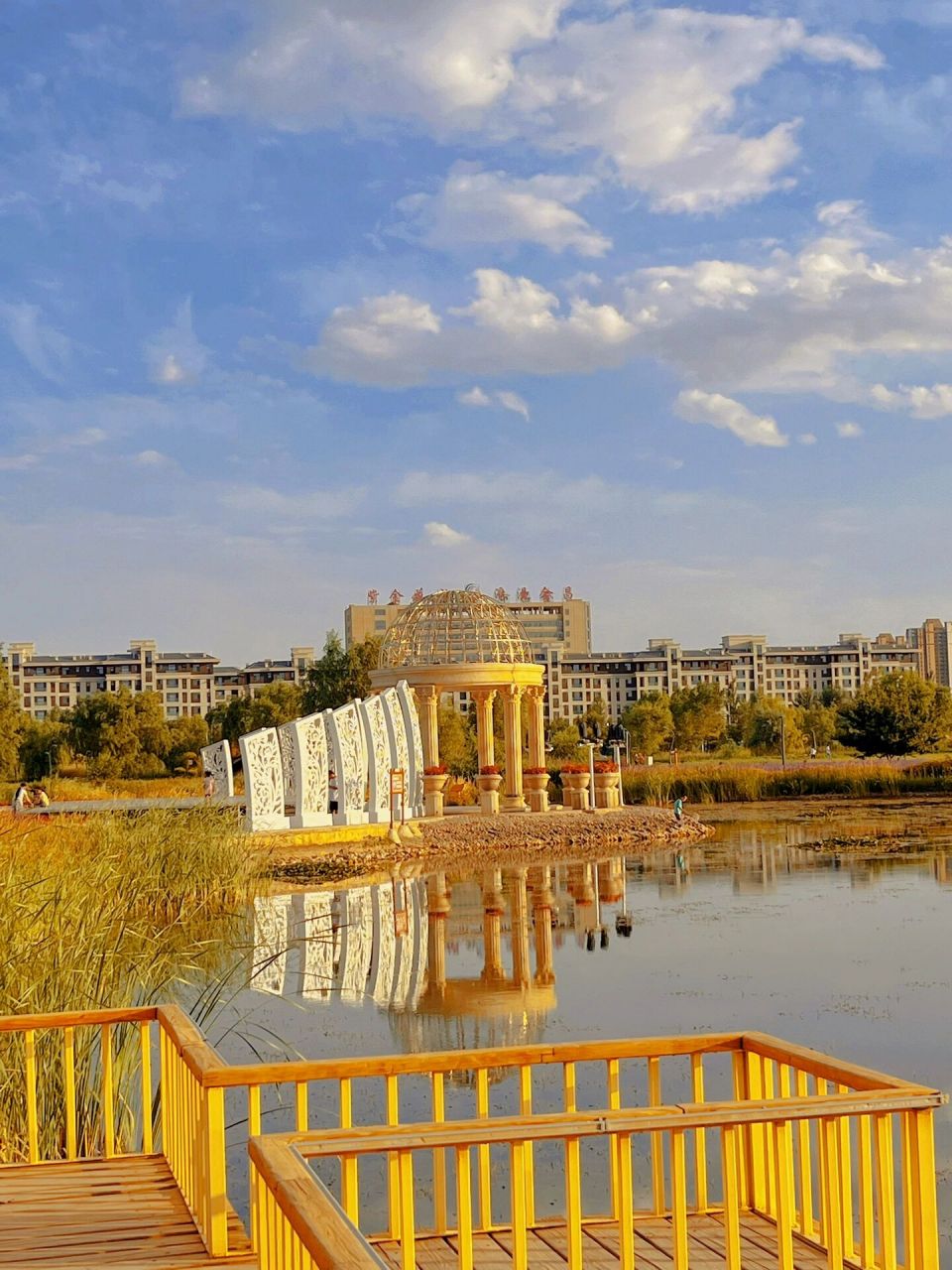 金昌紫金花海,浪漫且美好     来过很多次的花海,这一次又是不一样的