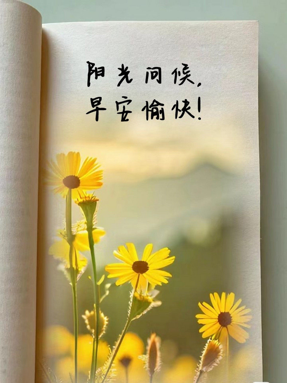 早安问候的暖心句子早上好 🌈清晨阳光,愿你心情舒畅.