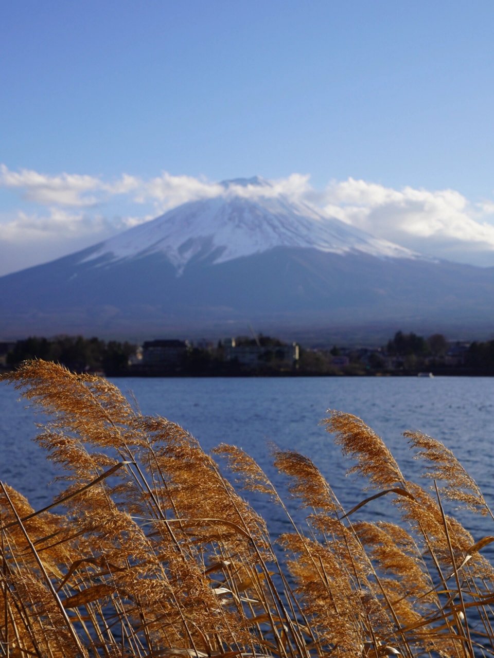 东京周边一日游|冬日富士山 富士山是日本的象征,也被称为世界上最美