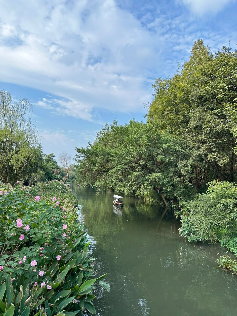打卡杭州冷门小众景点 杭州花圃 偶然停下,看到杭州花圃,进去转了一圈