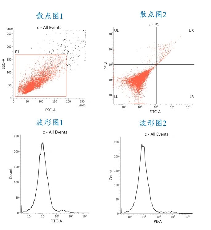 细胞凋亡之流式