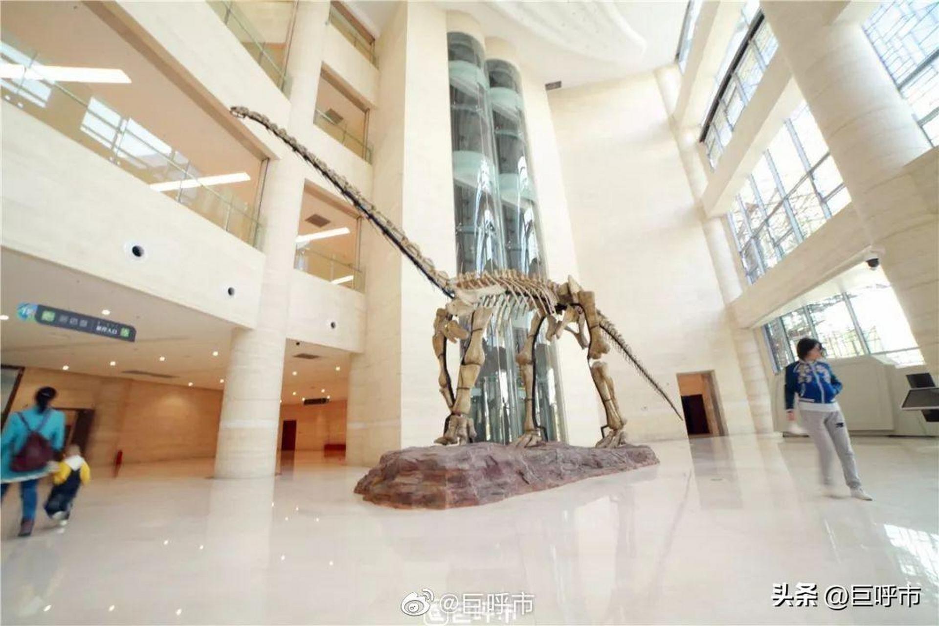 【内蒙古自然博物馆暑期延长开放时间的公告】  随着暑期旅游进入旺季