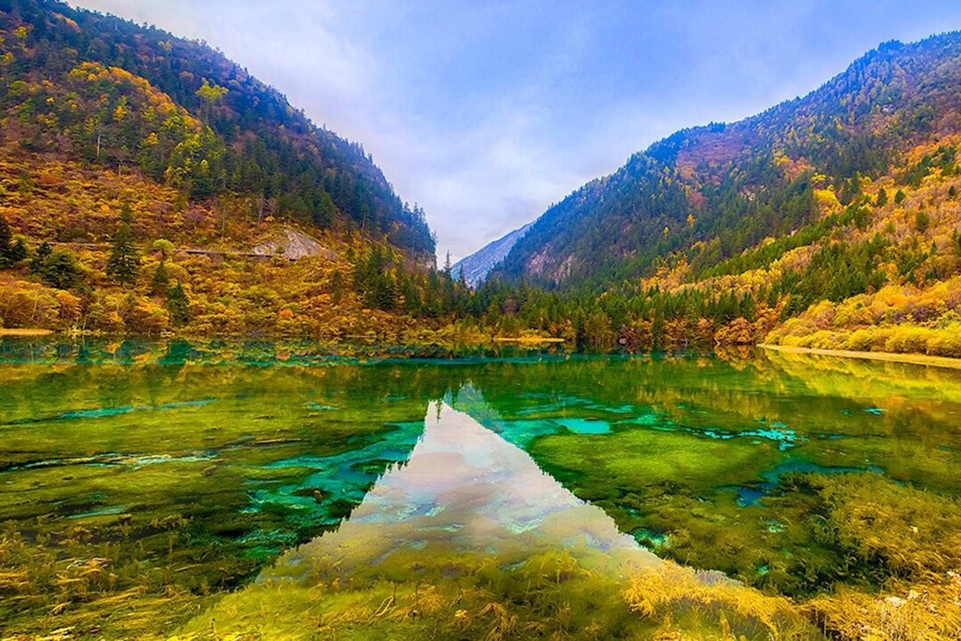 迷人的自然风景 i  人间仙境九寨沟 踏进九寨沟,碧绿的湖水,白雪皑皑