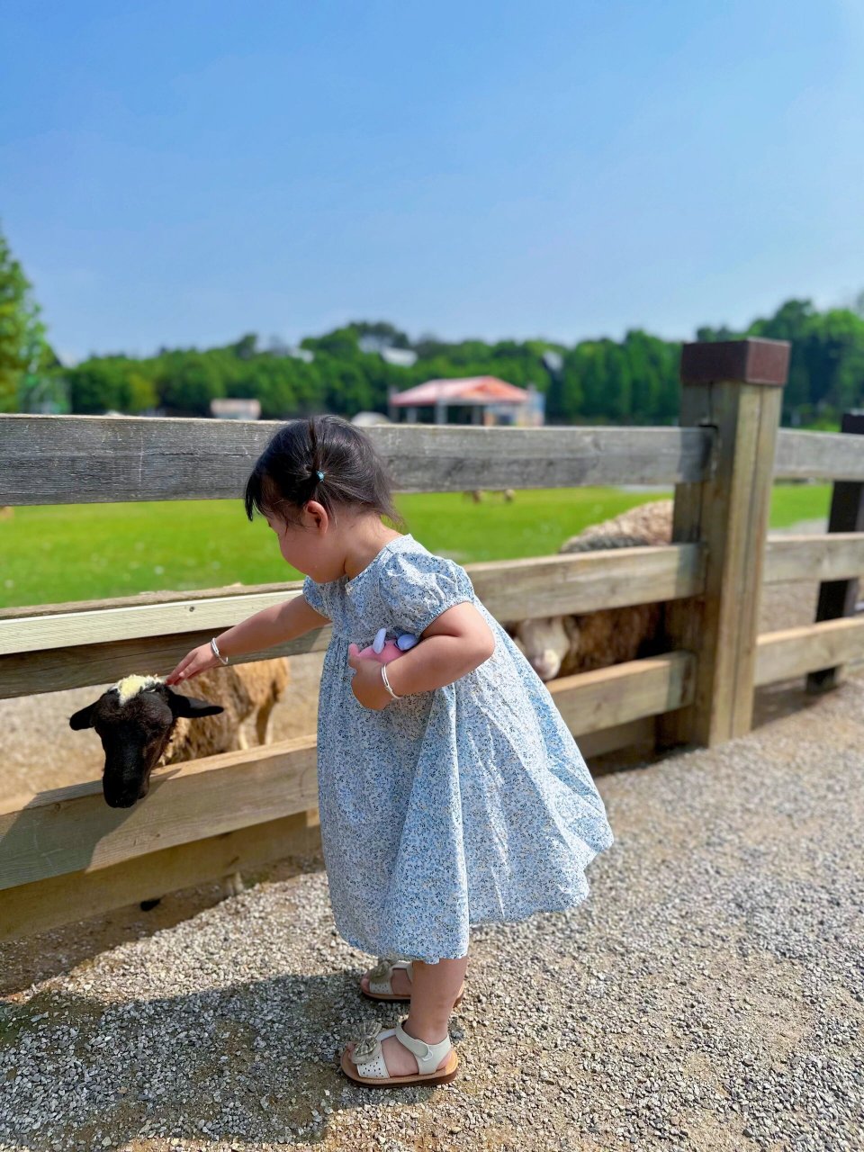 仙凤三宝园一日游 我们是自驾行,美团购的票.