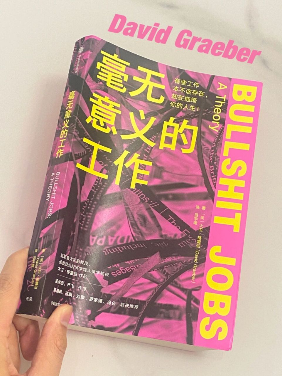 98:《毫无意义的工作》 著:大卫·格雷伯 	 - 	 96之前在某音上