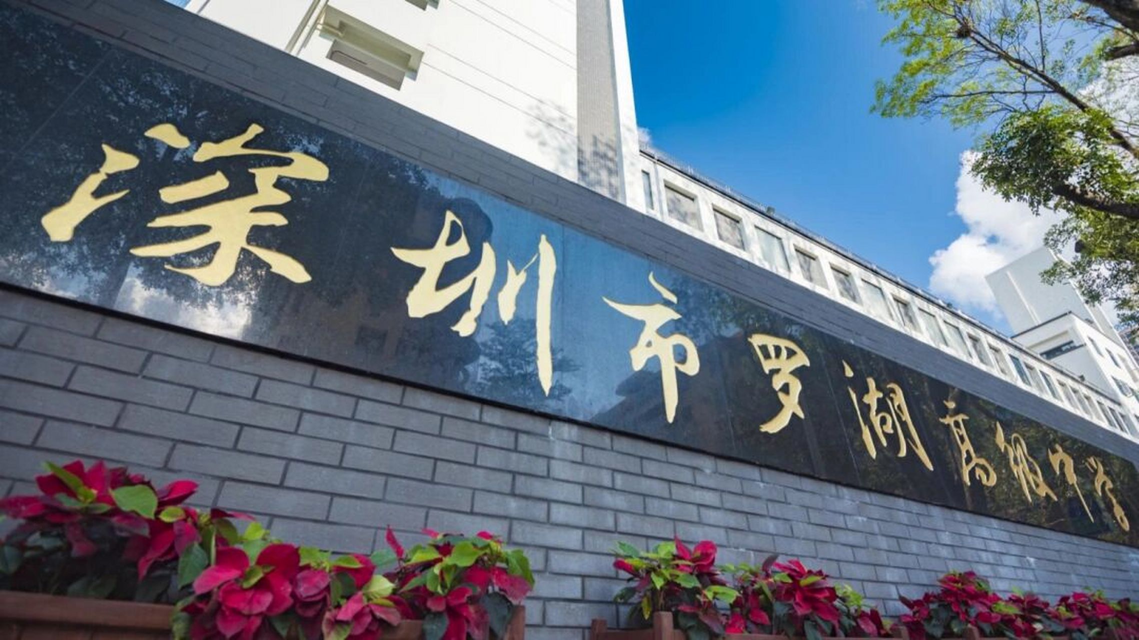 罗湖高级中学美术自主招生 深圳市罗湖高级中学是罗湖区委区政府在原